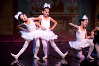 Shin Dance Academy - SDA